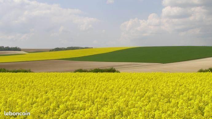Bien agricole 120000 m² Guilly