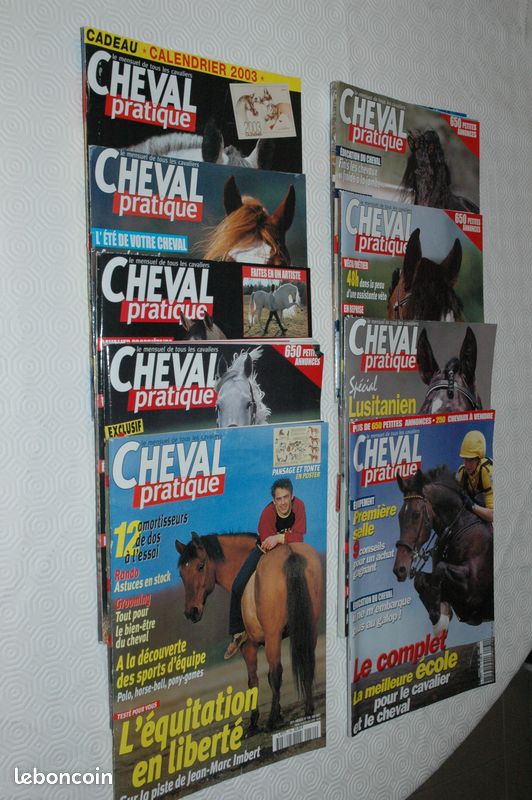 Magazines CHEVAL PRATIQUE (image 1)