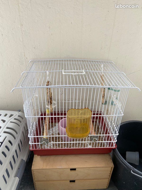 Cage à oiseaux (image 3)