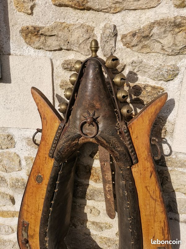 Collier de cheval (image 2)