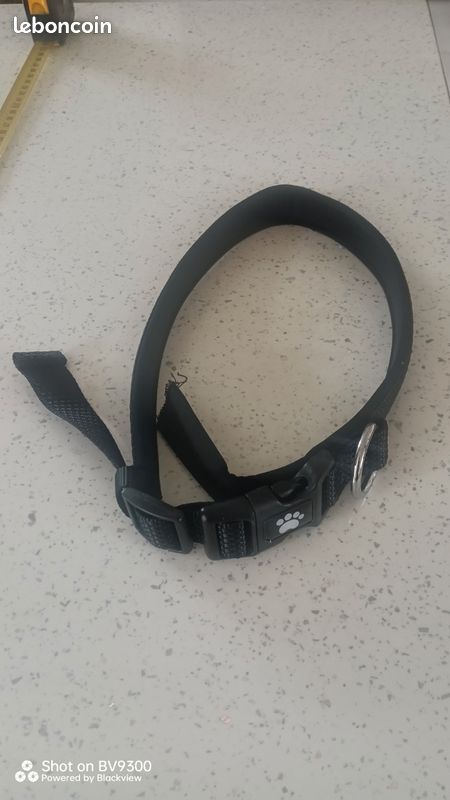 Collier Active Dog 44-55cm (image 3)