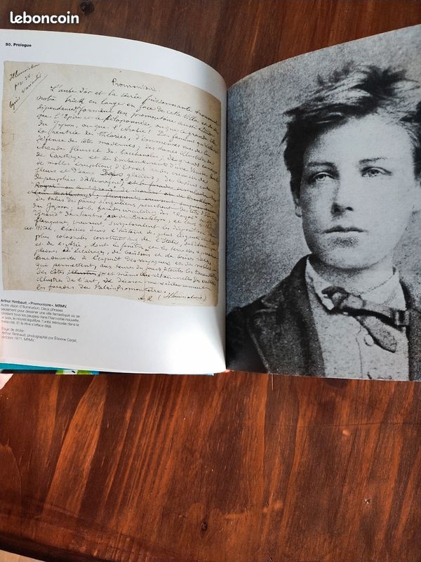 Hommage à Rimbaud : Rimbaudmania ; l'éternité d'une icône (COEDITION PARIS BIBLIOTHEQUE) (image 2)