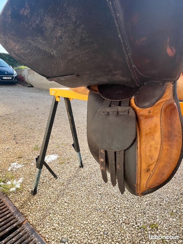Selle d’équitation (image 9)