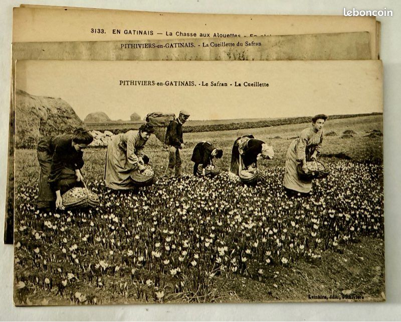 SUCRERIE Théme CPA 45 Loiret PITHIVIERS La sucrerie l'usine l'entrée