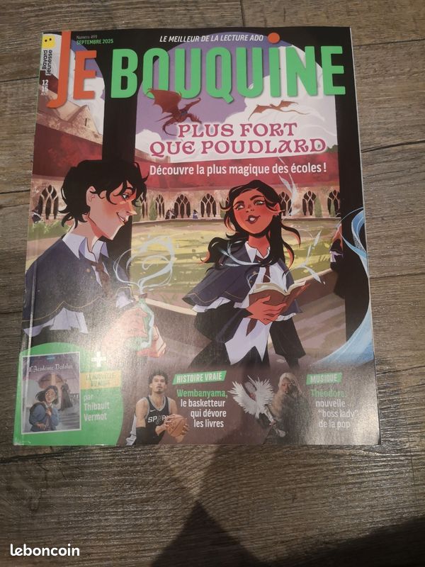 Lot de 4 livres je bouquine (image 3)