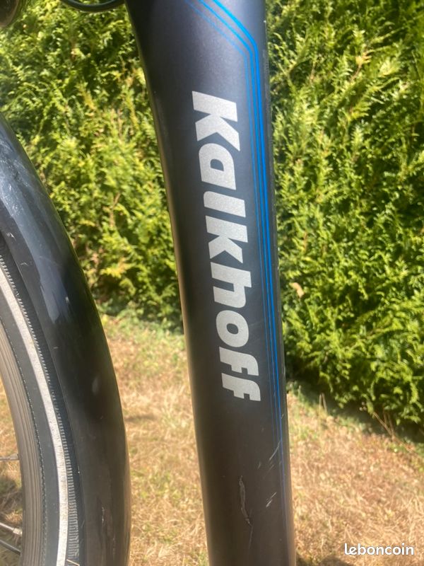 Vélo à assistance électrique Kalkhoff Agattu 7 (image 10)
