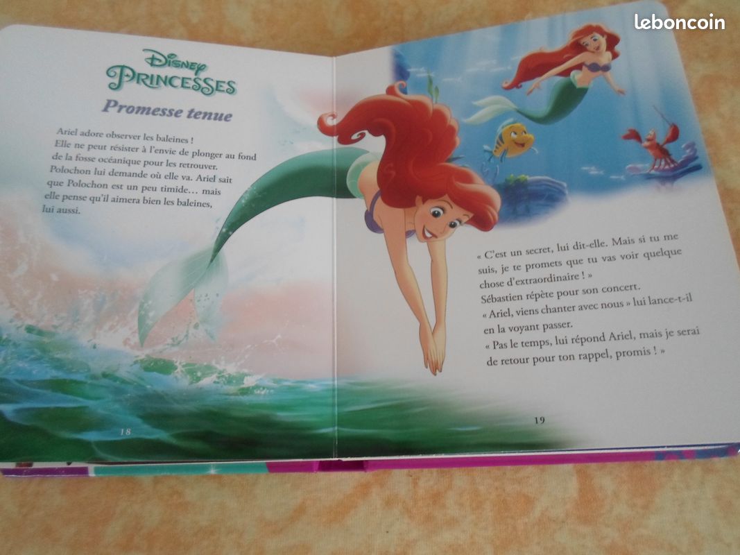 Livre Disney Princesses Récit d'Amitié (image 9)