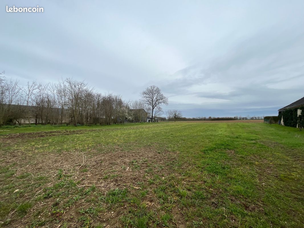 Terrain 9514 m² PAUDY · 19 900 €