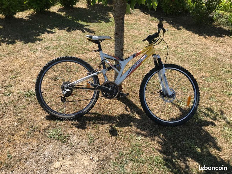 Vélo adulte (image 3)
