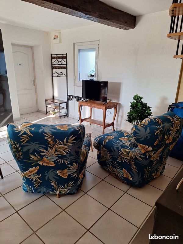 Deux fauteuils moelleux (image 4)