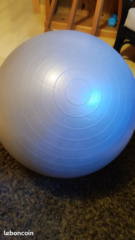 Ballon gymnastique pour dos (image 1)