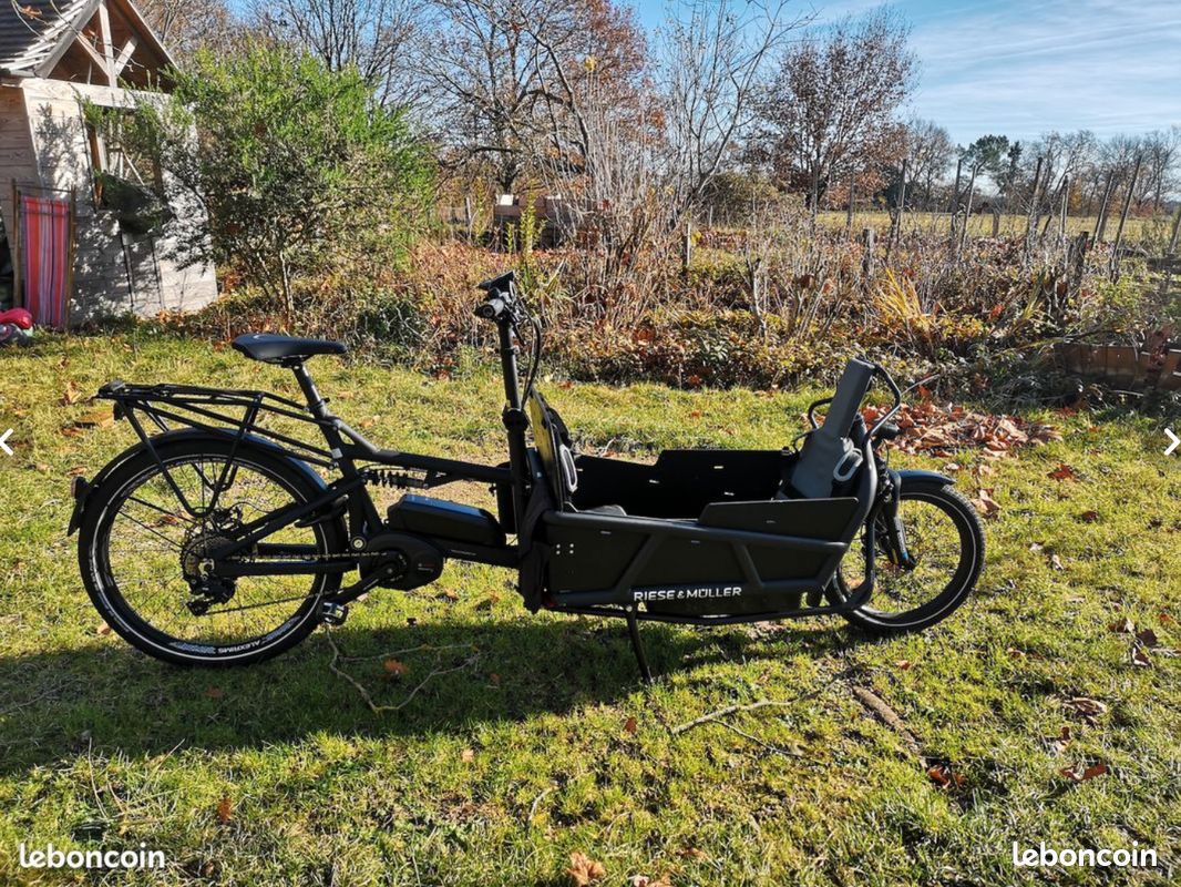 Vélo électrique Riese & Muller Load 75 avec 2 batteries, (image 3)