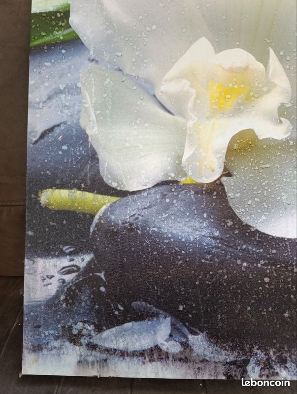 Cadre avec le dessin d'une orchidée blanche posée sur des galets avec des feuillages (image 5)