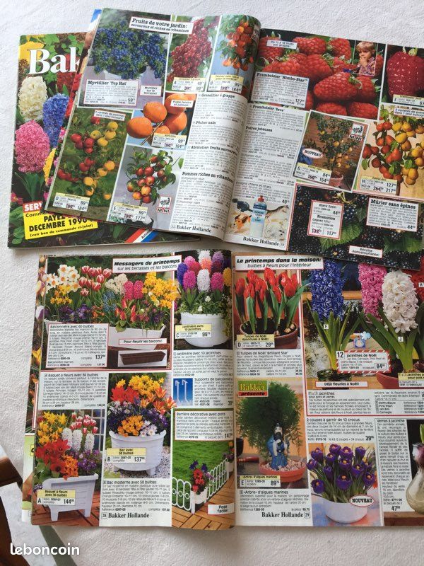 Catalogues de fleurs (image 2)