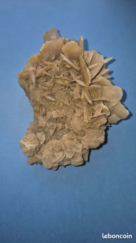 Véritable rose des sables (image 4)