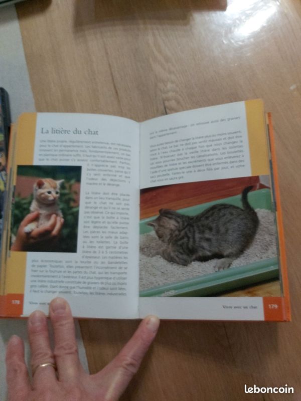 Livre les chats (image 7)