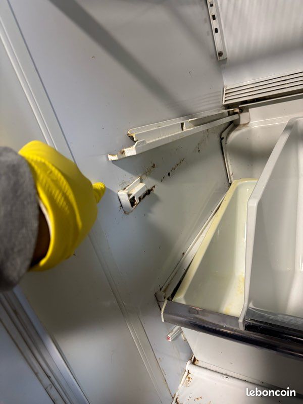 Frigo américain (image 9)