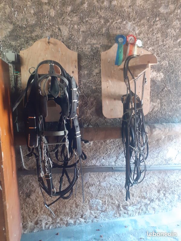 Harnais cuir (image 2)