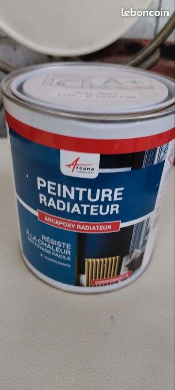 Peinture radiateur (image 1)