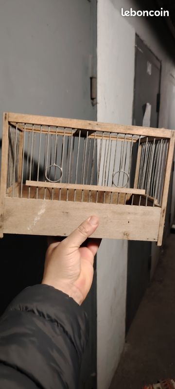 Cage oiseaux (image 1)