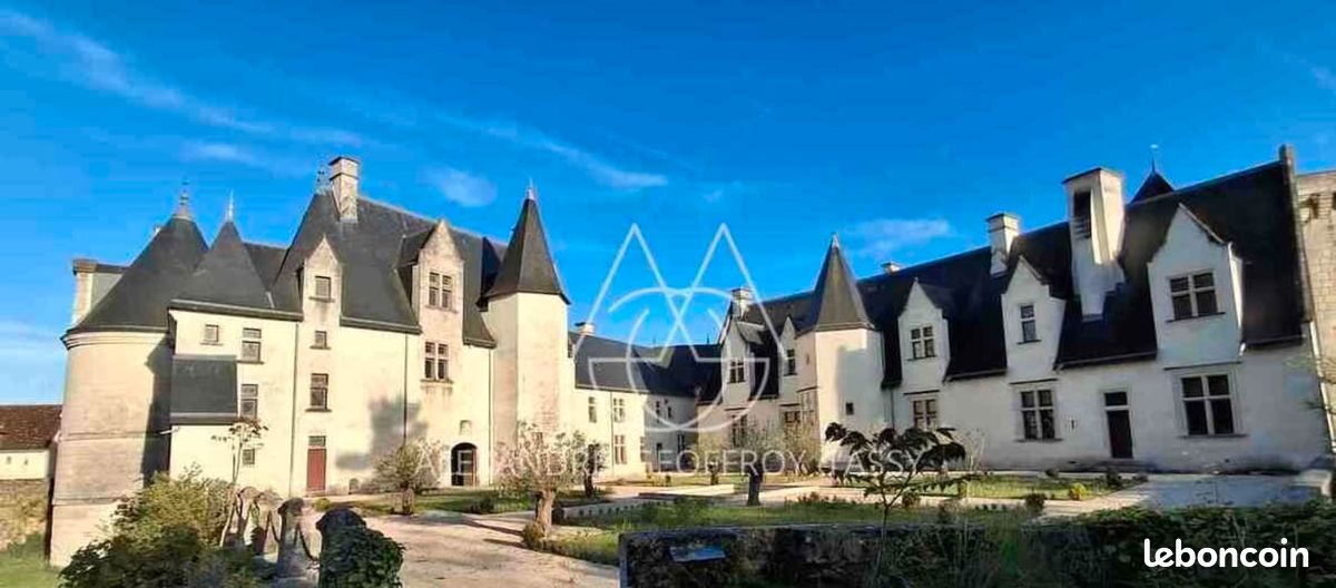 Maison 16 pièces 3000 m² · au Blanc · 3 000 m² · 3 600 000 €