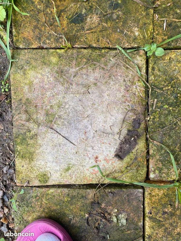 Tomette terre cuite de récupération (image 3)
