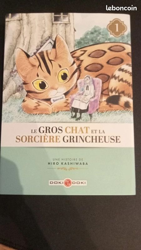 Le Gros Chat et la Sorcière grincheuse - vol. 01 (image 1)