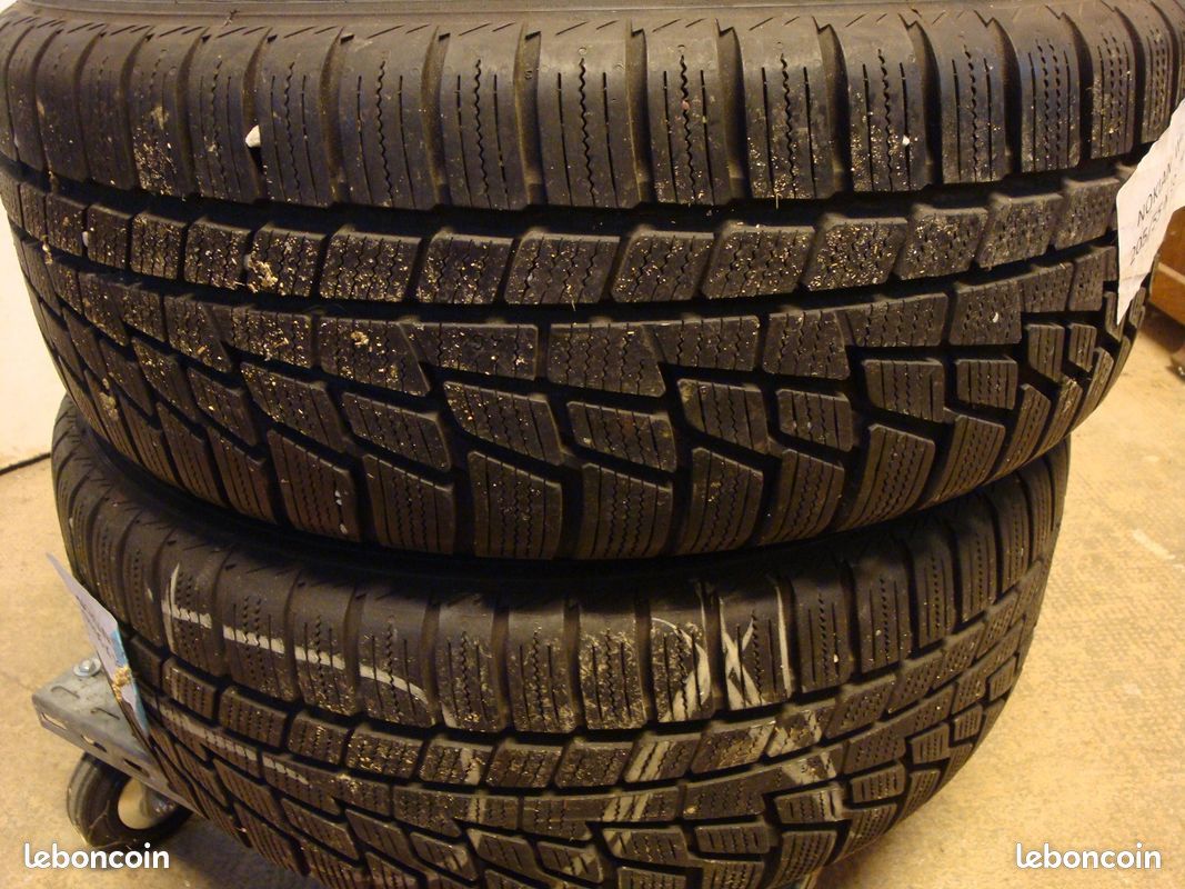 2 roues NEIGE 205/55x16 91 H NOKIAN (image 1)