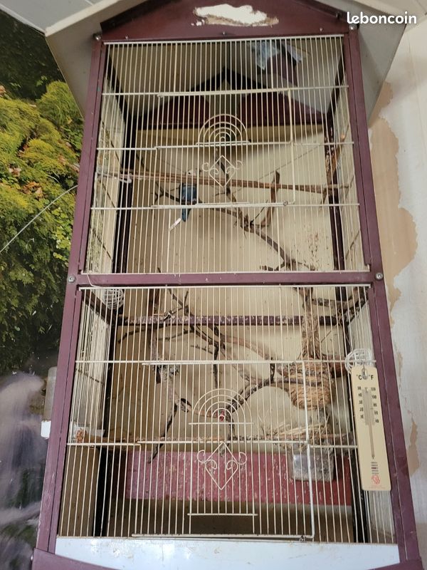 Cage (image 1)