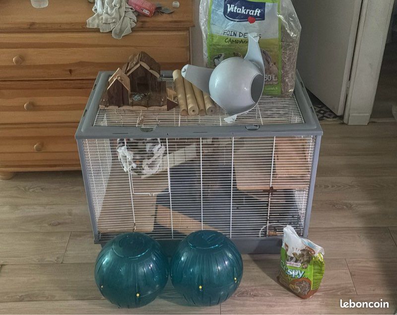 Cage rongeur équipée + nombreux accessoires et nourriture (image 1)