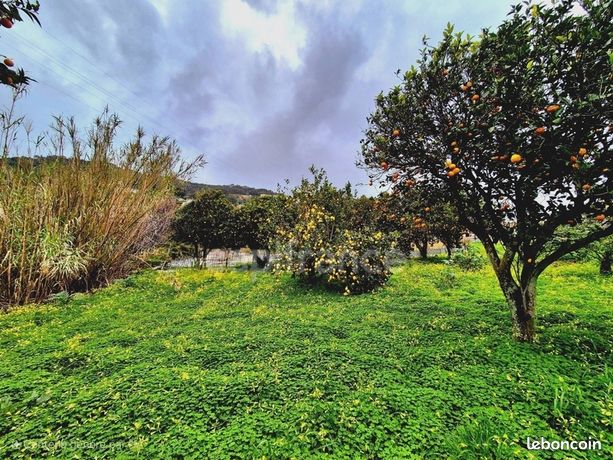 Terrain 1 348 m² Bastia