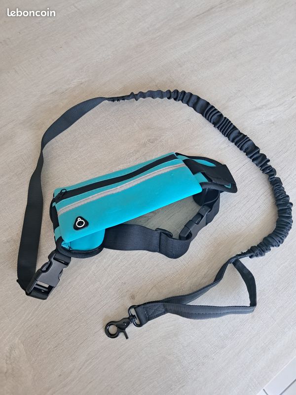 Laisse de chien retractable (image 1)