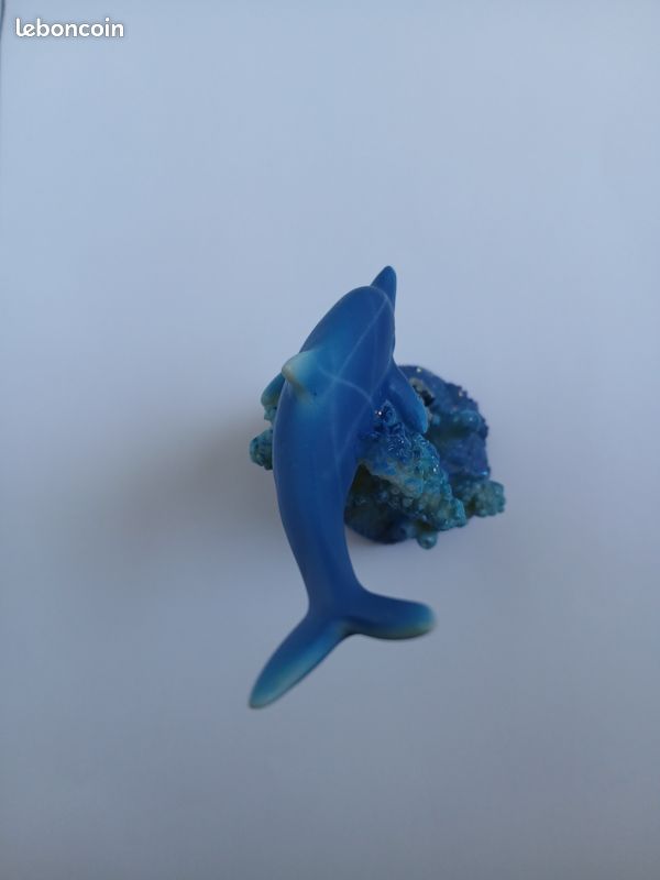 Dauphin et encre (image 5)