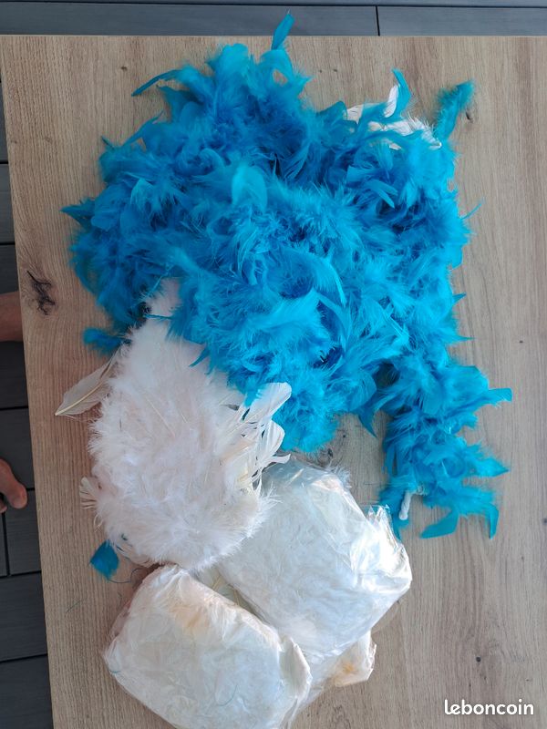 Boa et plumes (image 1)