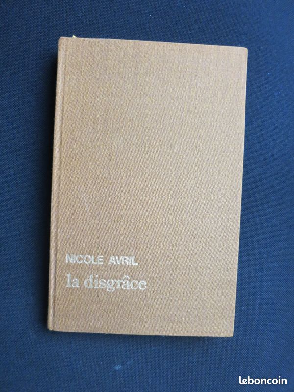 La Disgrâce - nicole avril (image 1)