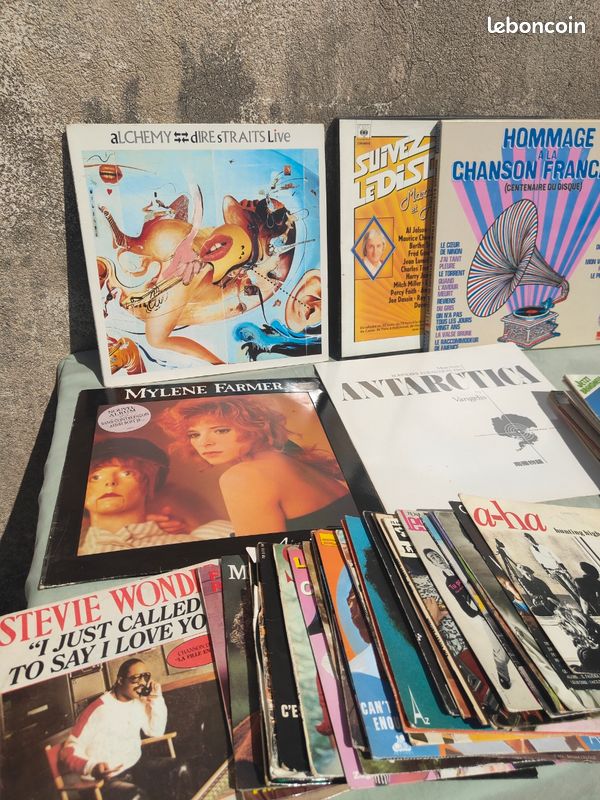 33 tours et 45 tours lot (image 3)