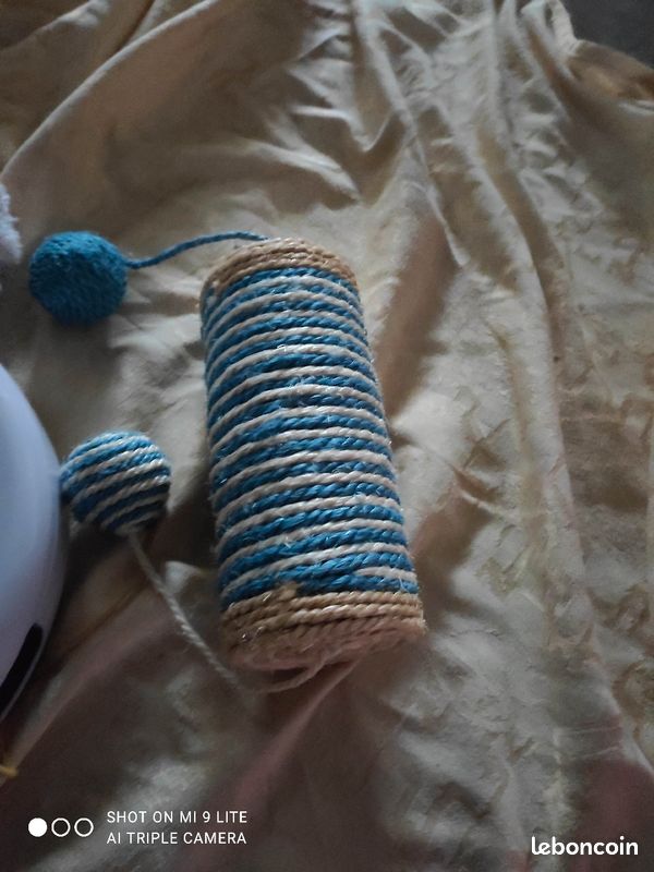 Divers jeux pour chat éléphant pelote de ficelle bleu avec boules jeux à pile (image 5)