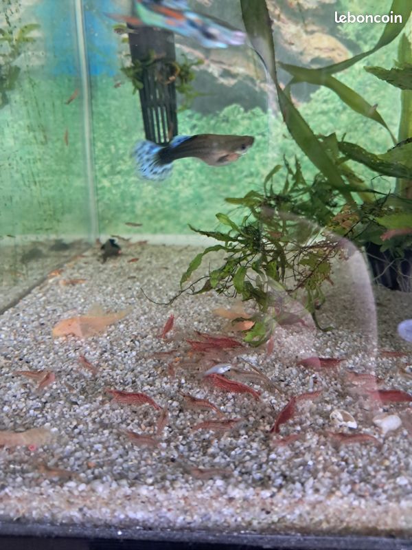 Aquarium 180l (image 3)