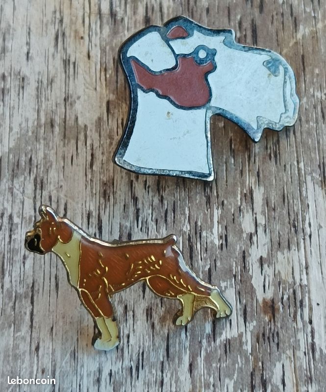 Pin's chien (image 1)