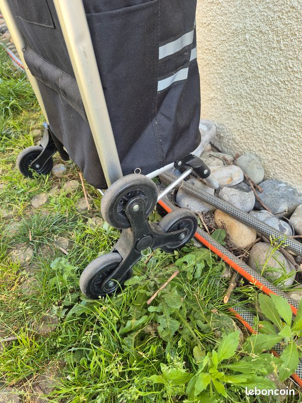 SONGMICS Caddie de Courses, Pliable, avec roulettes, Léger, avec Sac