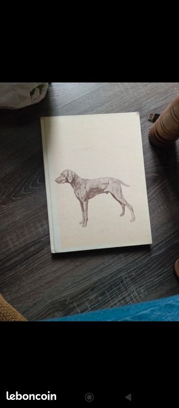 Le monde fascinant des chiens (image 1)