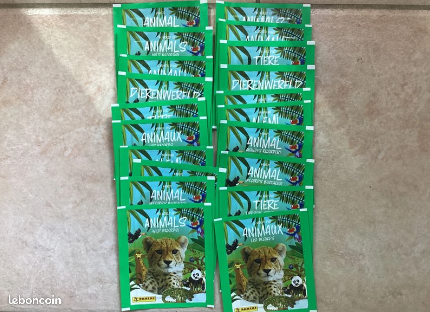 Panini World of Animals-Les Records Box of 36 Pouches, 004625BOX36F