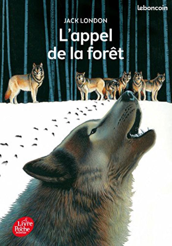 L’appel de la forêt (image 1)