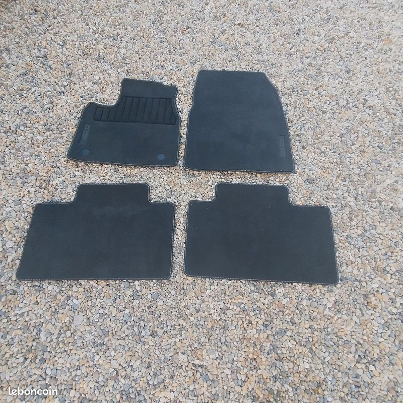 Tapis nouveau Scénic (image 1)