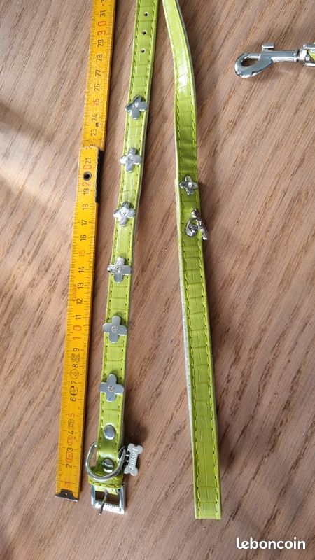 Collier et laisse neufs chien wouapy vert clair (image 2)