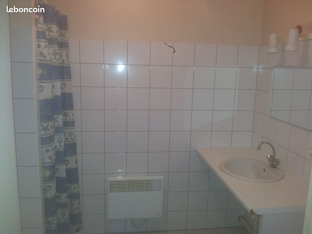 A louer grand studio Arzacq Centre - Arzacq-Arraziguet 64410 (image principale 1)