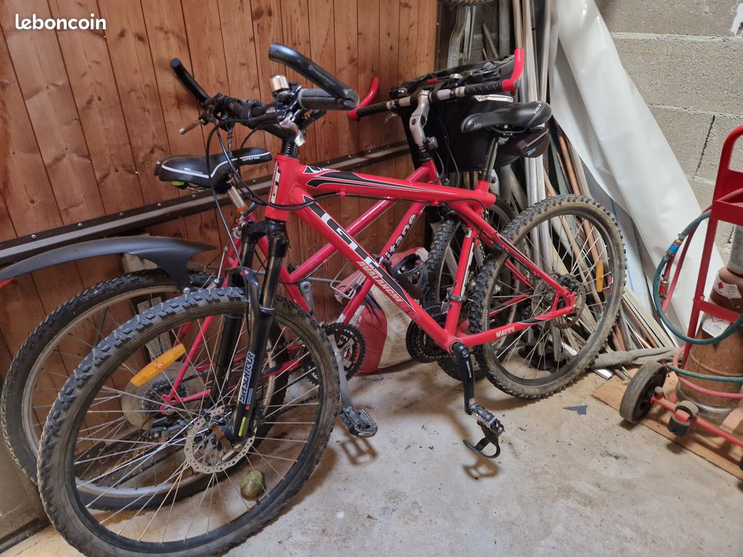 Gt Avalanche Taille Vtt Gt VTT GT Avalanche Comp 2021