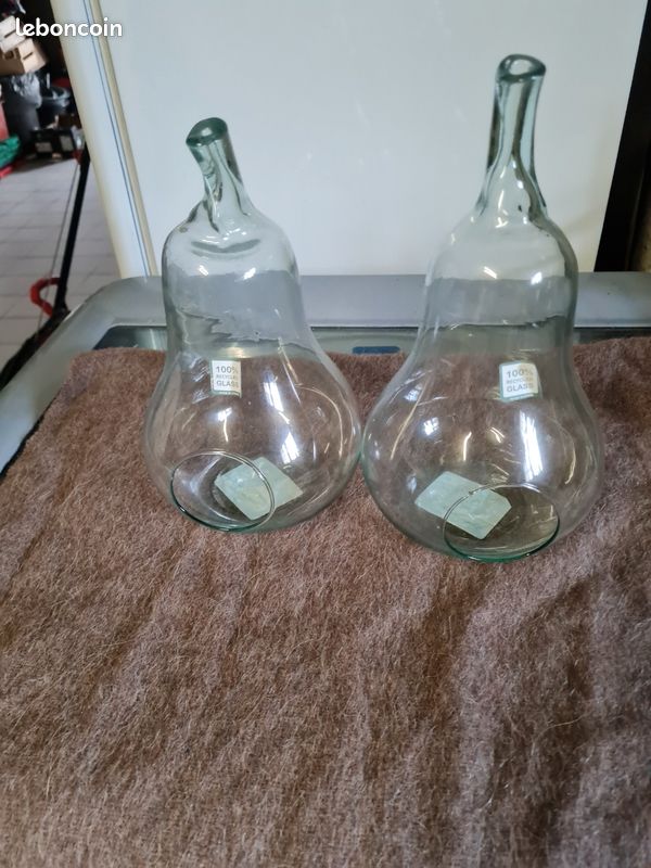 Lot de 2 terrariums (image 4)