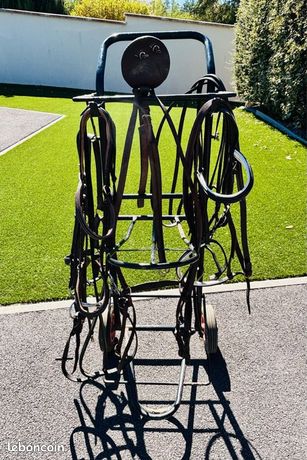 Ancien Licol En Cuir Et Laiton Pour Cheval - Taille Draft (occasion)