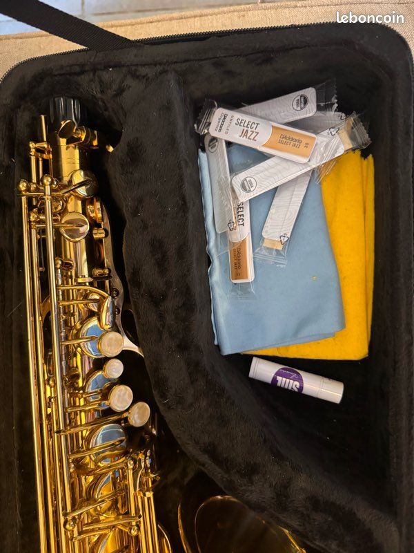 Saxophone Alto Buffet Crampon + Vandoren A45 (image 4)